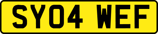 SY04WEF
