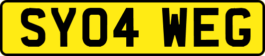 SY04WEG