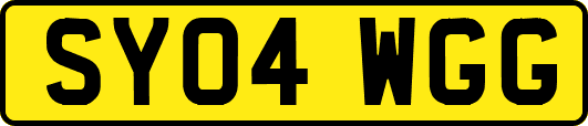 SY04WGG