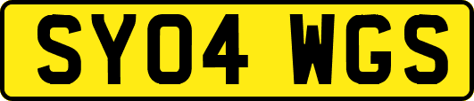 SY04WGS