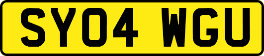 SY04WGU