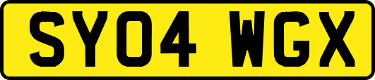 SY04WGX