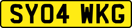 SY04WKG