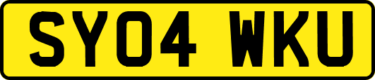 SY04WKU