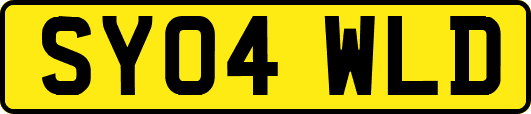SY04WLD