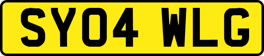 SY04WLG