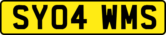 SY04WMS