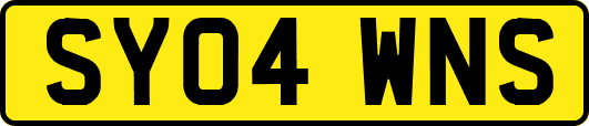 SY04WNS