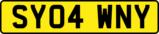 SY04WNY