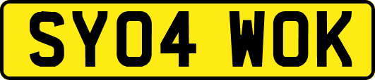 SY04WOK