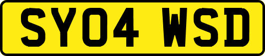 SY04WSD