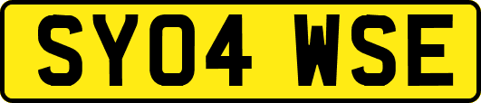 SY04WSE