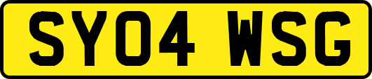 SY04WSG