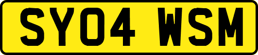 SY04WSM