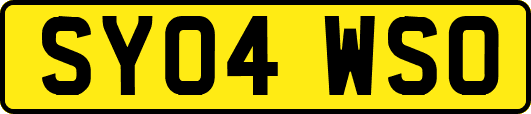 SY04WSO