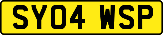 SY04WSP