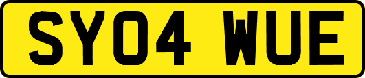 SY04WUE
