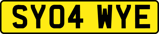 SY04WYE