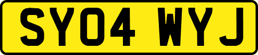 SY04WYJ