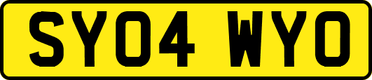 SY04WYO