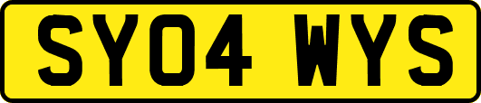 SY04WYS