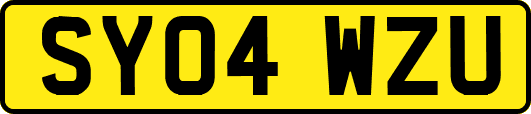 SY04WZU
