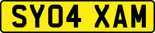 SY04XAM