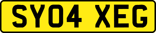 SY04XEG