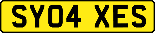 SY04XES