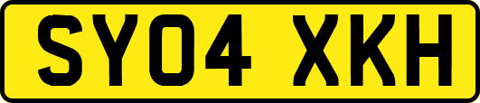 SY04XKH