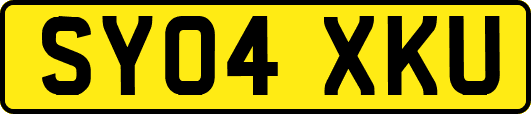 SY04XKU