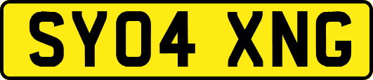 SY04XNG