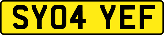 SY04YEF