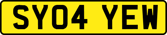 SY04YEW
