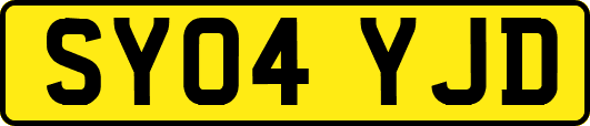 SY04YJD