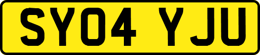 SY04YJU