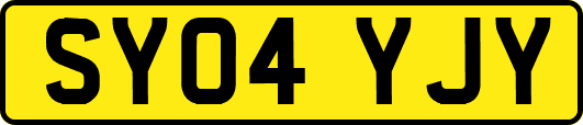 SY04YJY