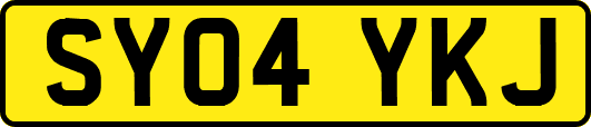 SY04YKJ