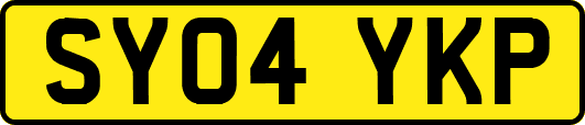 SY04YKP