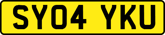 SY04YKU