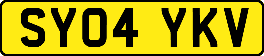SY04YKV
