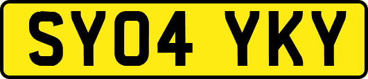 SY04YKY