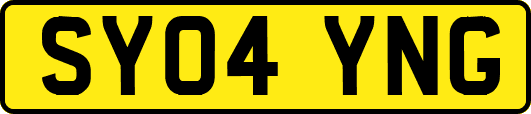 SY04YNG