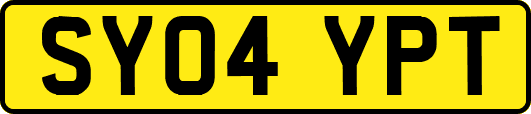 SY04YPT