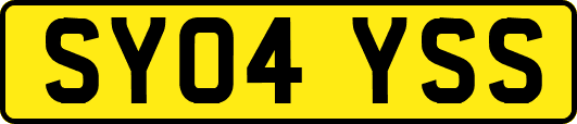 SY04YSS
