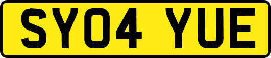 SY04YUE