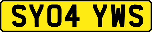 SY04YWS