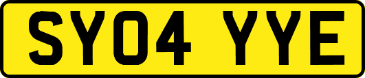 SY04YYE
