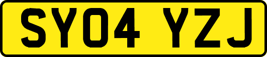 SY04YZJ