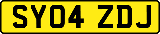 SY04ZDJ